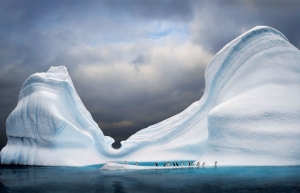 Antarctica Iceberg