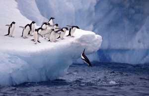 Luxury Antarctica holidays