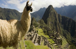 Machu Picchu and Llama, Peru