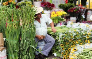 Bogota, Colombia