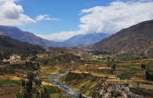 colca