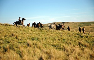 Estancia Los Potreros, Argentina