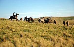 Lost Potreros Argentina Humboldt Travel