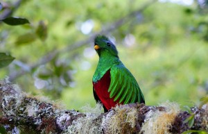 Monteverde, Costa Rica