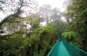 Monteverde Costa Rica, cloud forest Costa Rica, luxury Costa Rica, luxury holidays to Costa Rica, tailor-made holidays to Costa Rica, luxury holidays to Costa rica