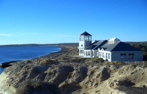 Valdes Peninsula, Argentina