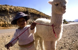 Colca, Peru