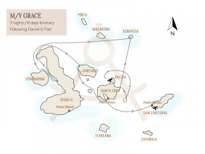Grace - Following Darwin's Footsteps