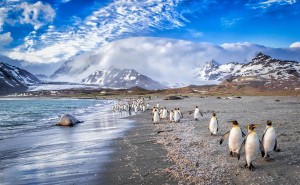 South Georgia Island, Antarctica luxury cruises