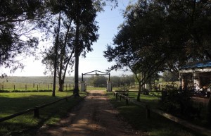 Estancia Charabon, Rocha, Uruguay