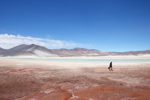 Atacama Desert, Chile