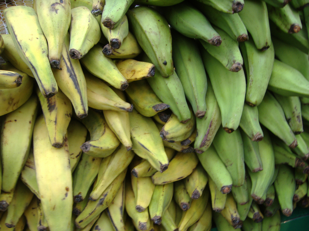 plantains