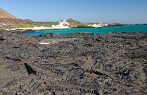 Galapagos Islands