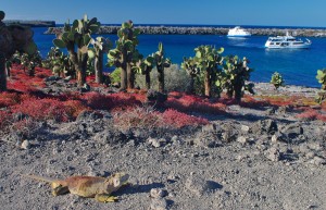 Galapagos Islands