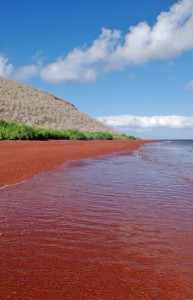 Galapagos Islands