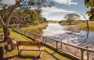 Araras Eco-Lodge - Wildlife holidays to the Pantanal, Brazil