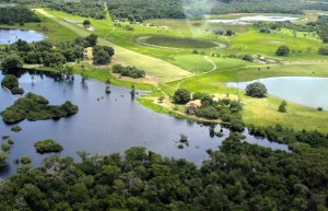 Fazenda Barranco Alto - Holidays to the Pantanal, Brazil