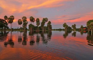 Fazenda Barranco Alto - Holidays to the Pantanal, Brazil