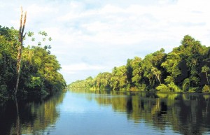 Untamed Amazon Cruise, Brazil