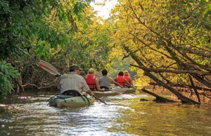 Manatee Amazon Luxury Cruise, Ecuador