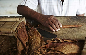 Cuban Cigar, Vinales, Cuba