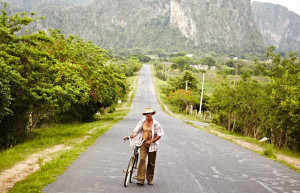 Cuban Countryside