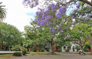 Colonia, Uruguay