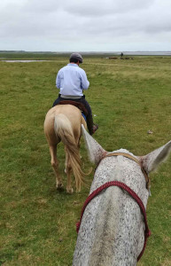 Gaucho, Uruguay