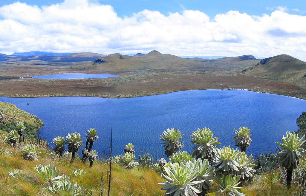 Hacienda Piman, Ecuador