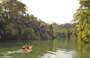 Copal Tree Lodge, Belize, luxury Belize, Belize luxury holidays, luxury holidays to Belize, tailor-made holidays to Belize