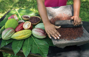 Belize Chocolate Making, luxury Belize, luxury hotels, tailor-made holidays to Belize, luxury holidays to Belize