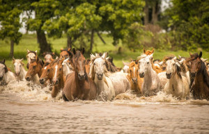 Extraordinary Colombia holiday