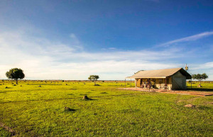 Corocora Camp, Llos Llanos, Colombia