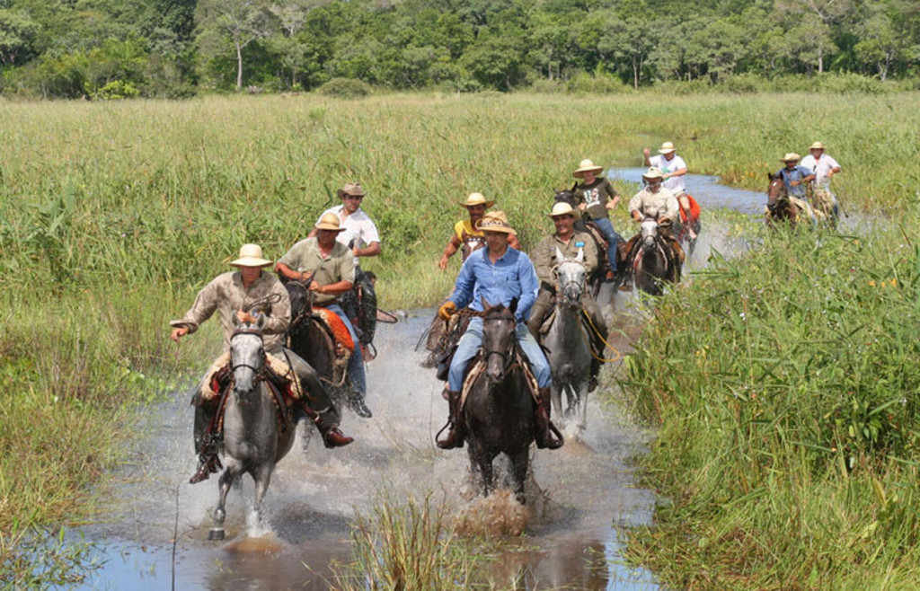 Traditional pantaneiros working in North Pantanal, Brazil