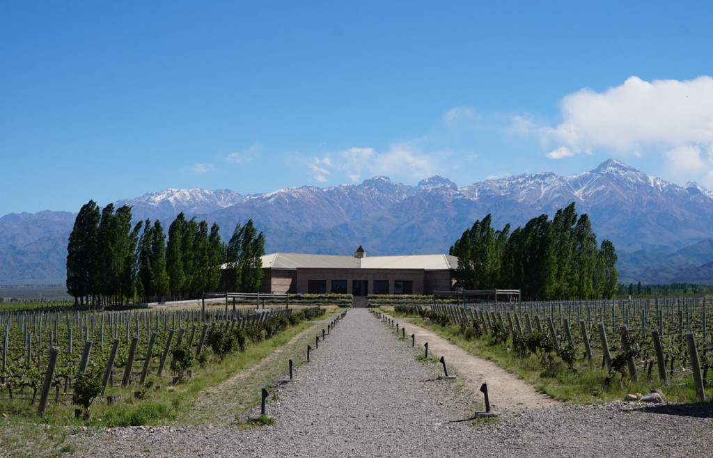 Salentein is one of many exceptional bodegas you can visit in and around Mendoza.