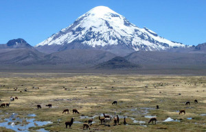 Sajama National Park, Bolivia