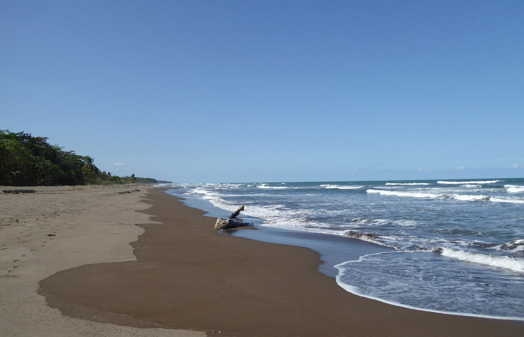 Tortuguero, Caribbean Coast Costa Rica