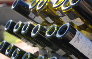 Malbec is the wine for which the region of Mendoza is most famous.