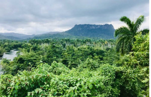 El Yunque river and palms Baracoa, in Cuba