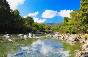 Alexander Von Humboldt Park, Cuba