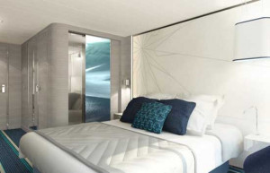 Luxury Ponant Ship- deluxe cabin, Antarctica Cruise