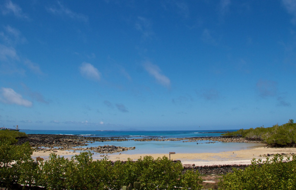 View from Finch Bay Hotel in the Galapagos Islands
