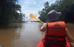 Kayaking in the Ibera Wetlands, Argentina