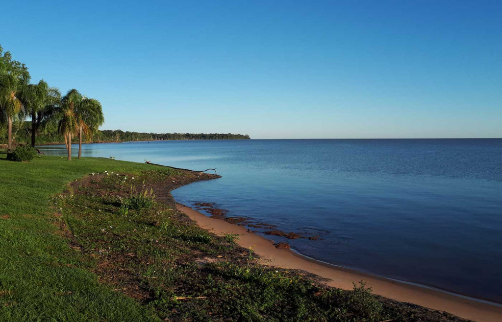 A beautiful view of the Ibera Wetlands.