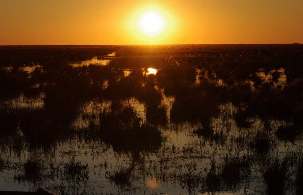 A stunning sunset in the Ibera Wetlands