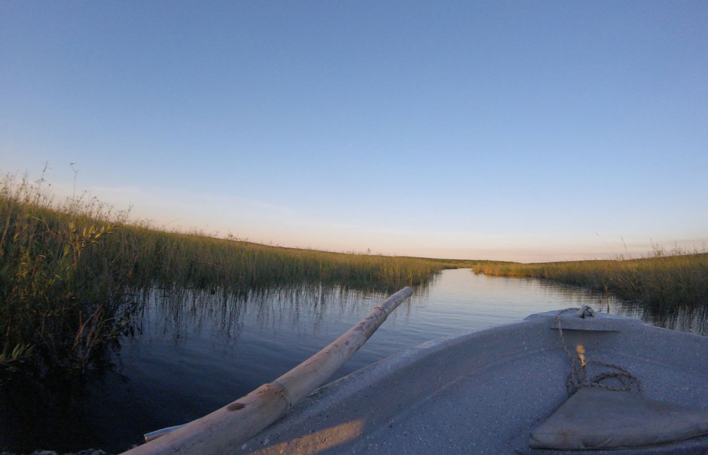 Canoeing in the Ibera Wetlands