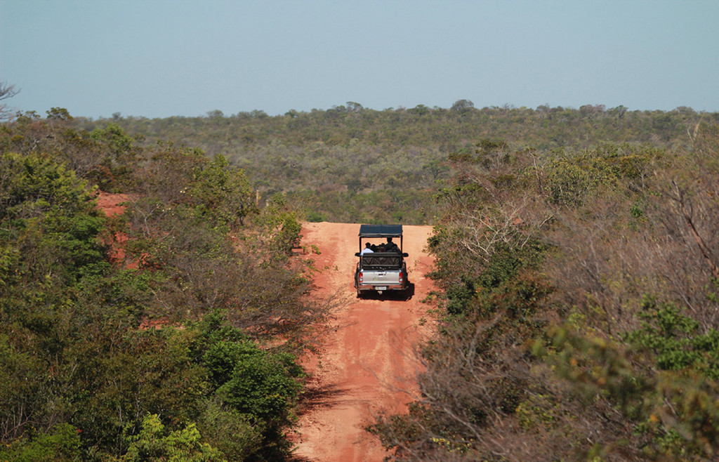 Pousada Trijuncao, Luxury wildlife lodge in the Brazilian Cerrado