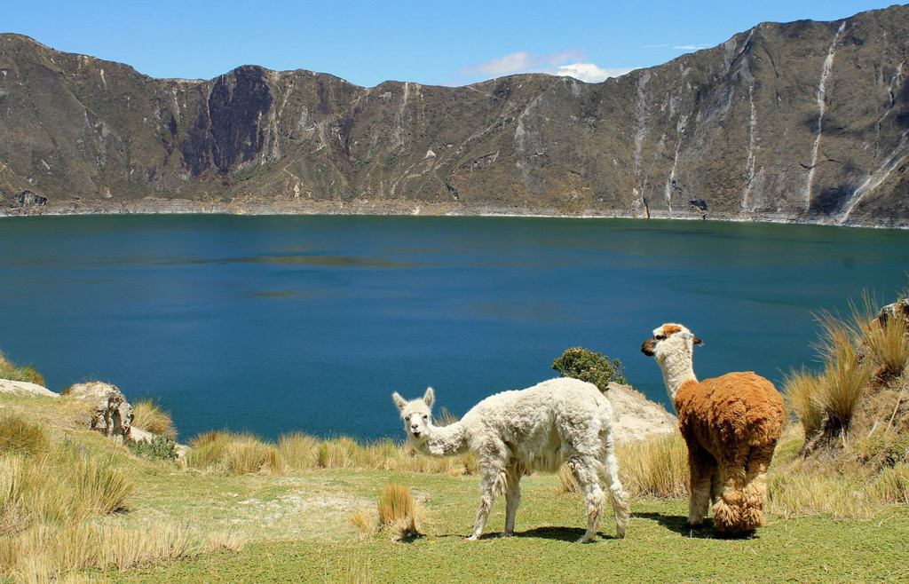 The scenery of the Ecuadorian high plains