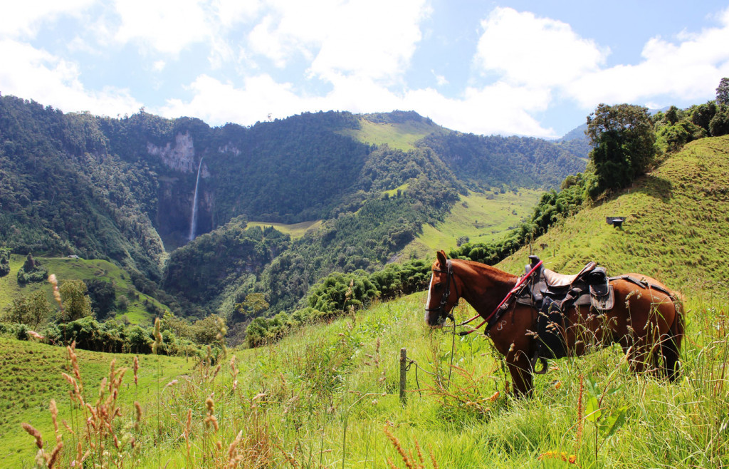 Horse riding in the Zona Cafetera