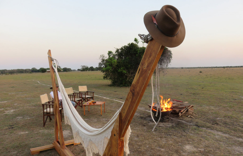 The grassland of Los Llanos Orientales, Colombia